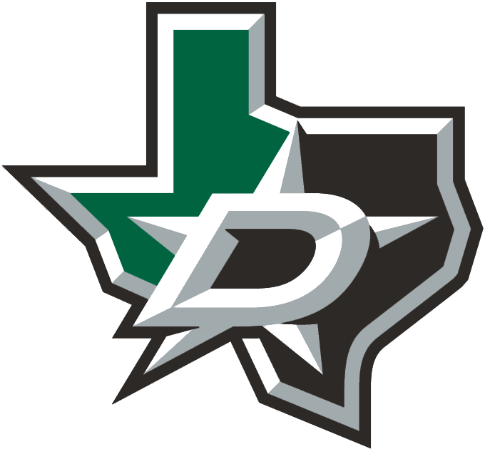Dallas Stars 2013-Pres Alternate Logo iron on transfers for clothing version 2